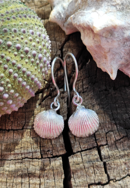 Muschelhälften Ohrhänger