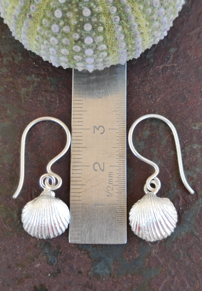 Muschelhälften Ohrhänger