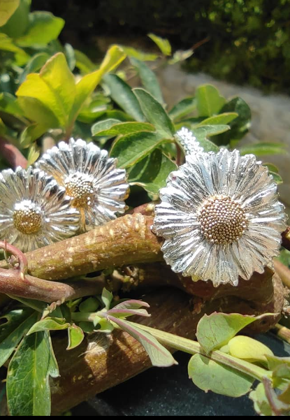 Set Nr.14 Gänseblümchen Anhänger und Ohrstecker mit vergoldeter Mitte