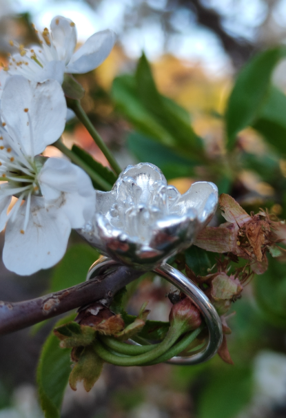 Kirschblüten Ring
