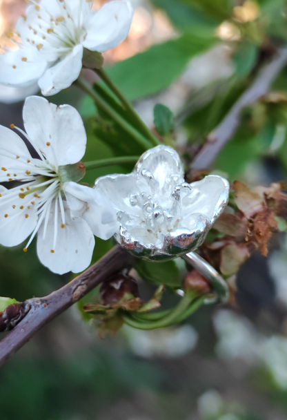Kirschblüten Ring