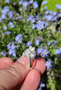 Vergissmeinnicht Ring mit 3 Blüten