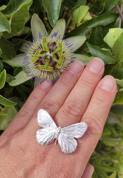Schmetterlings Ring