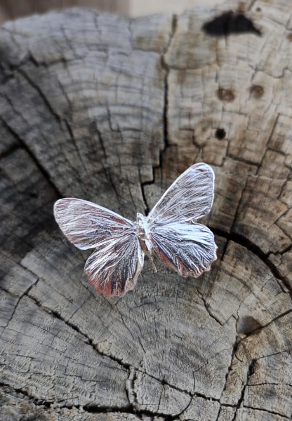 Schmetterlings Ring