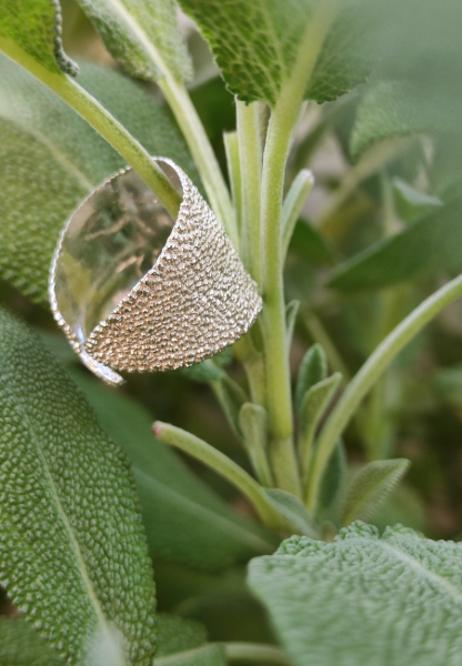 Salbei Ring