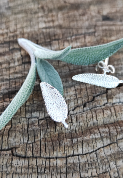 Mini Salbei Set