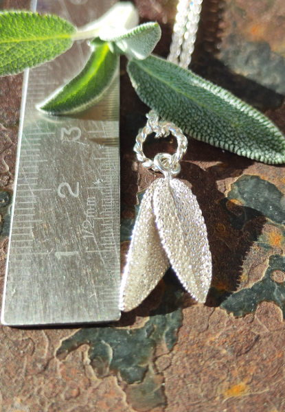 Mini Salbei Set