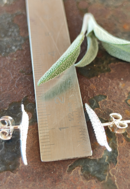 Mini Salbei Set
