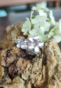 Schneeball Hortensien Ring mit zwei Blüten