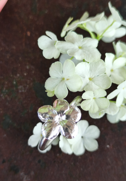 Schneeball Hortensien Ring mit großer Blüte