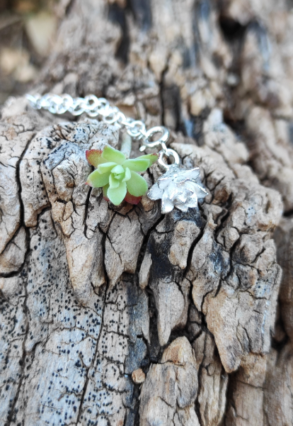 Mini Sukkulenten Anhänger mit Karabiner