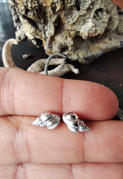 Mini Muschel Ohrstecker