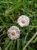 Gänseblümchen Ohrstecker mit vergoldeter Mitte