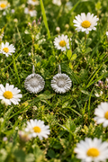 Gänseblümchen Ohrhänger
