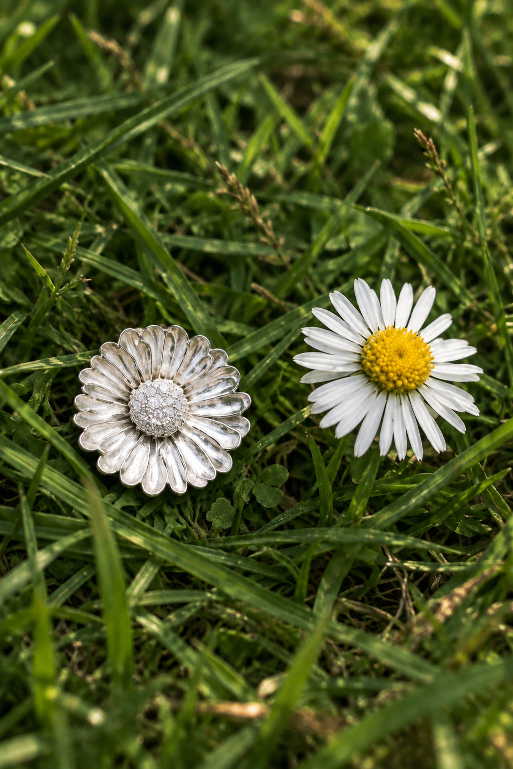 Gänseblümchen Anhänger
