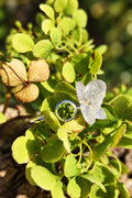 Hortensien Ring mit Peridot